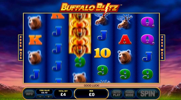 เส้นไลน์เกมและการเดิมพันของเกม Buffalo Blitz